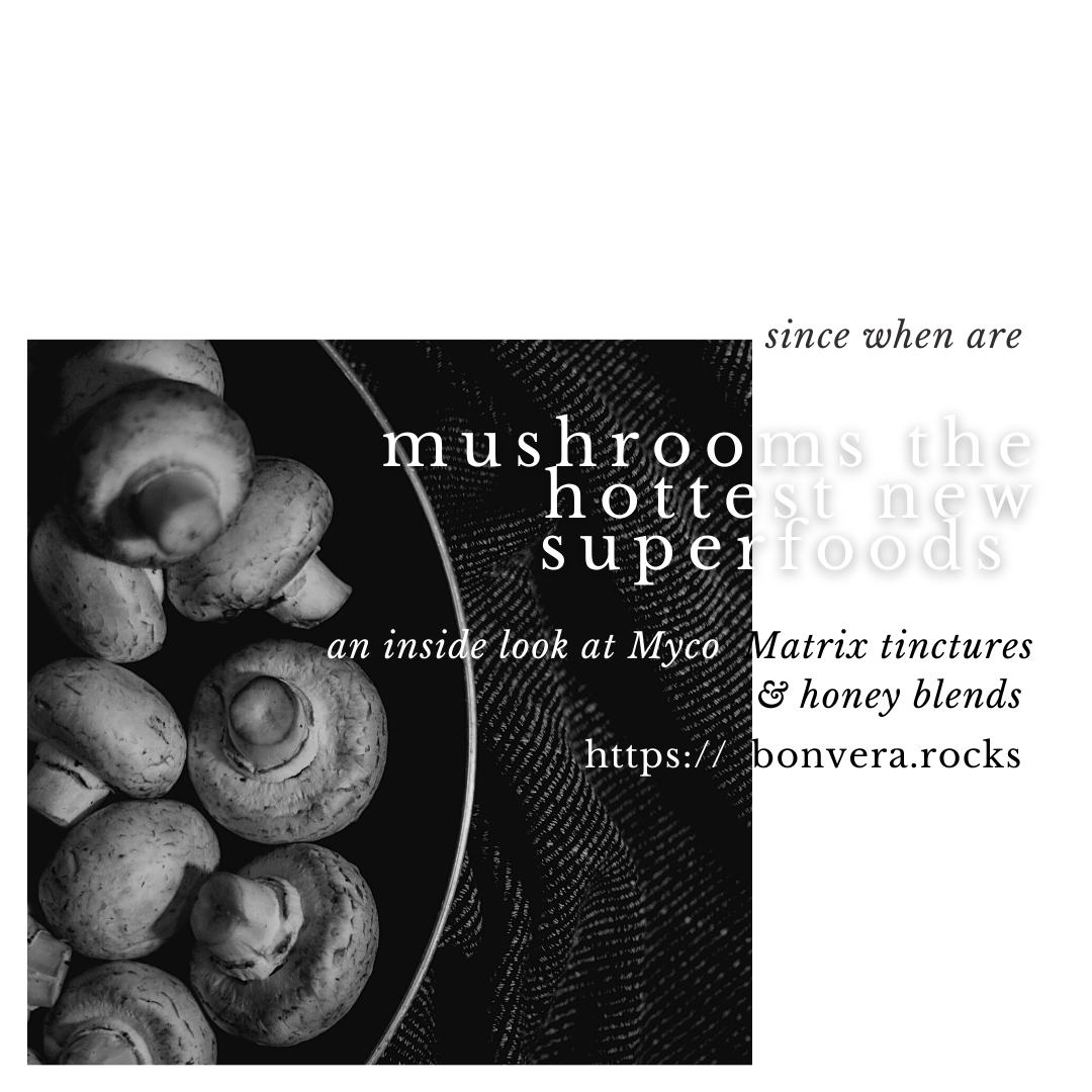 Since When Are Adaptogenic Mushrooms the Hottest New Superfood